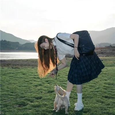 花落莺啼春 海报